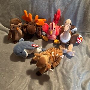 Ty Beanie Babies. Asst of 6. As shown. NWT
